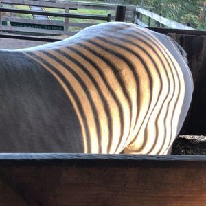 Meet your Posher, Jeff